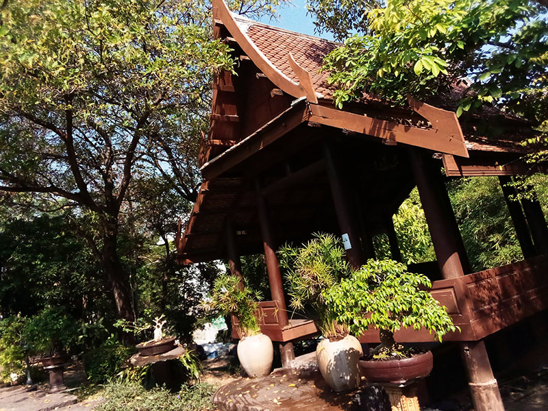 ภาพตัวอย่างกล้องหลัง  4