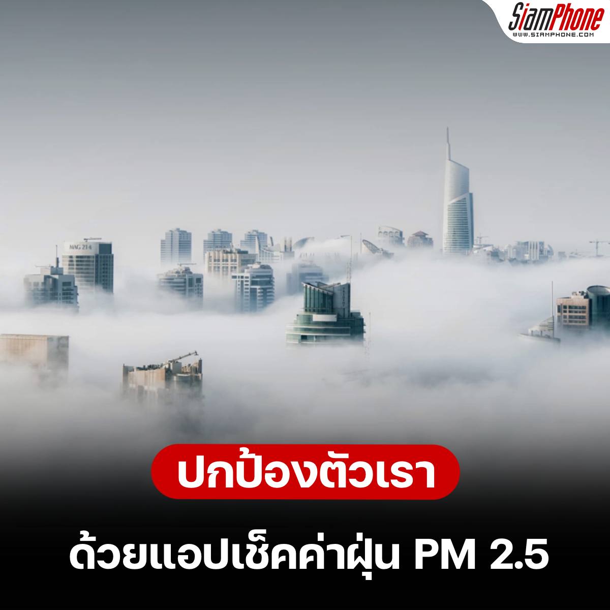 ปกป้องตัวเราด้วยแอปฯ เช็คค่าฝุ่น Pm 2.5 กันเถอะ! - Siamphone.Com